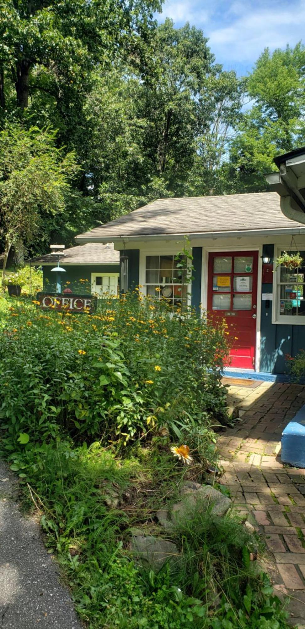 The Pines Cottages Woodfin Exterior photo